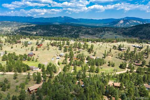 462 Yellow Pine Dr, Bailey, CO 80421 photo 35