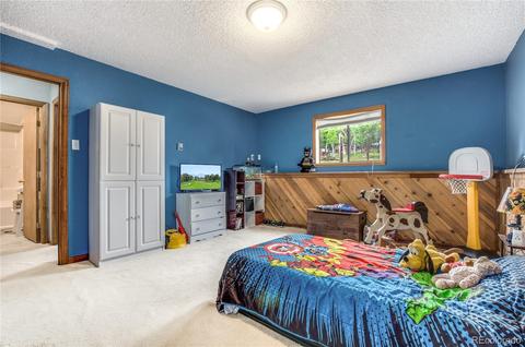 462 Yellow Pine Dr, Bailey, CO 80421 photo 19