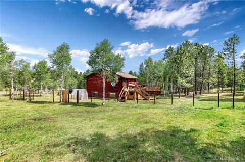 462 Yellow Pine Dr, Bailey, CO 80421 photo 28