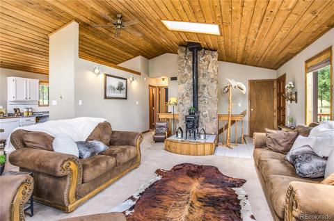 462 Yellow Pine Dr, Bailey, CO 80421 photo 9