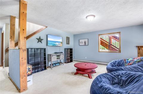 462 Yellow Pine Dr, Bailey, CO 80421 photo 22