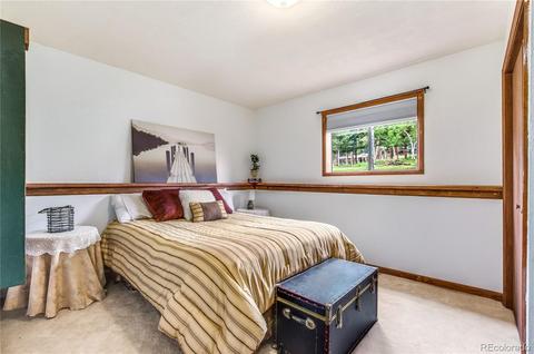 462 Yellow Pine Dr, Bailey, CO 80421 photo 21