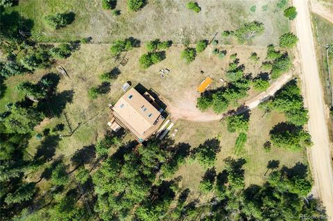 462 Yellow Pine Dr, Bailey, CO 80421 photo 3