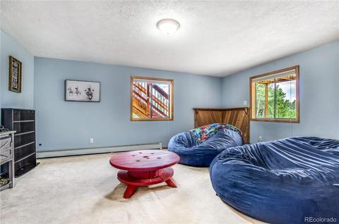 462 Yellow Pine Dr, Bailey, CO 80421 photo 23