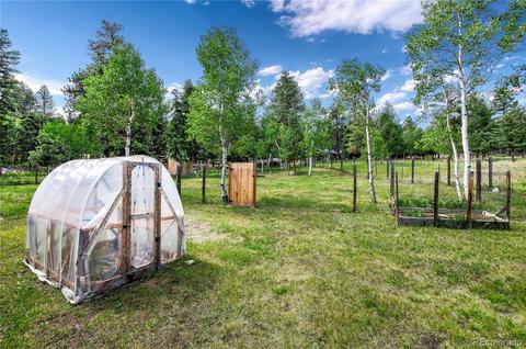 462 Yellow Pine Dr, Bailey, CO 80421 photo 29