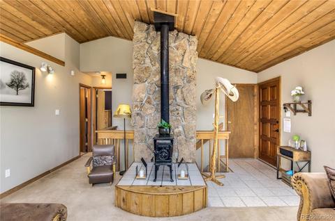462 Yellow Pine Dr, Bailey, CO 80421 photo 7