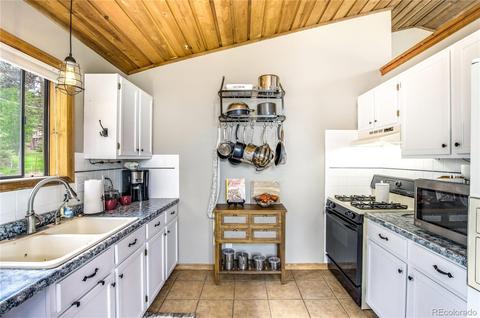 462 Yellow Pine Dr, Bailey, CO 80421 photo 13