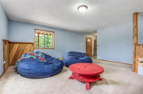462 Yellow Pine Dr, Bailey, CO 80421 photo 24