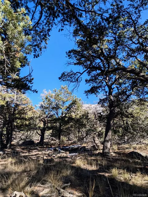 1284 Echo Pt, Crestone, CO 81131 photo 9