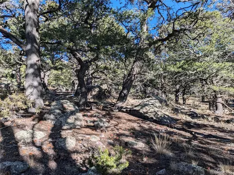 1284 Echo Pt, Crestone, CO 81131 photo 10