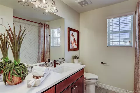 16262 E 111th Dr, Commerce City, CO 80022 photo 9