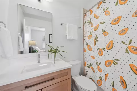 Bath - 9073 E 29th Pl, Denver, CO 80238 photo 3 of 3