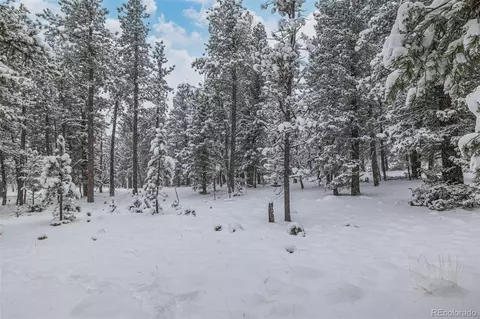449 Forest Dr, Bailey, CO 80421 photo 37