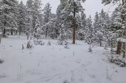 449 Forest Dr, Bailey, CO 80421 photo 36