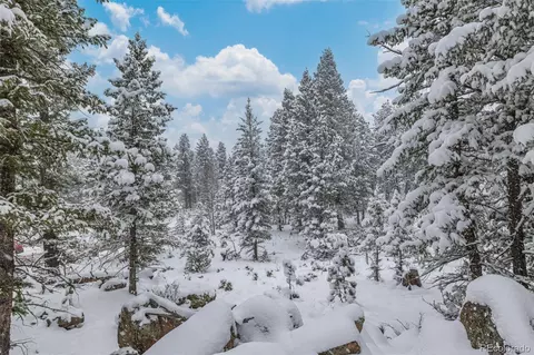 449 Forest Dr, Bailey, CO 80421 photo 41