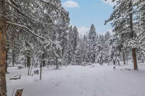 449 Forest Dr, Bailey, CO 80421 photo 43