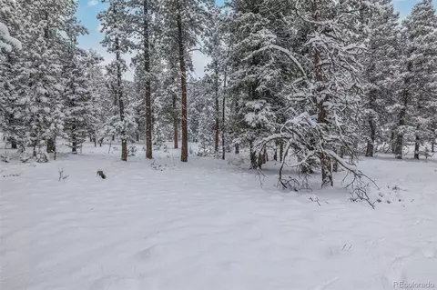 449 Forest Dr, Bailey, CO 80421 photo 33
