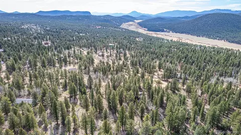 449 Forest Dr, Bailey, CO 80421 photo 13