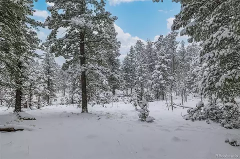 449 Forest Dr, Bailey, CO 80421 photo 39