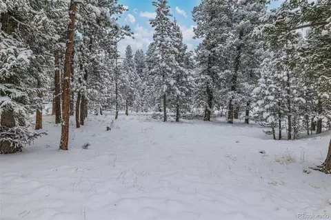 449 Forest Dr, Bailey, CO 80421 photo 31