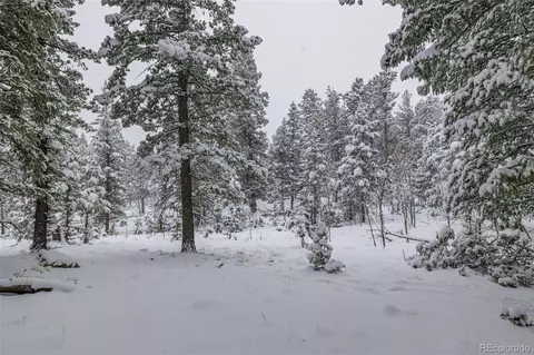 449 Forest Dr, Bailey, CO 80421 photo 40