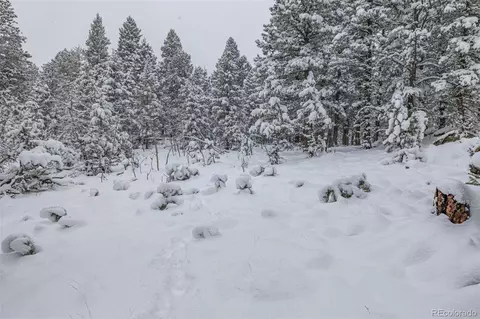 449 Forest Dr, Bailey, CO 80421 photo 46