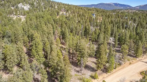 449 Forest Dr, Bailey, CO 80421 photo 3