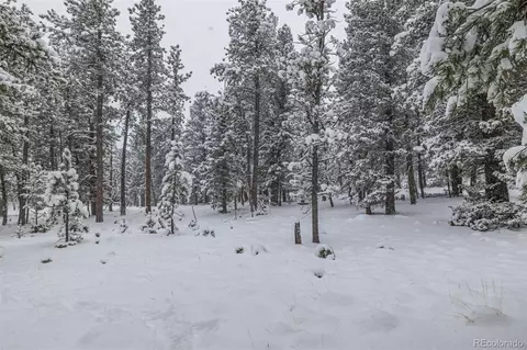 449 Forest Dr, Bailey, CO 80421 photo 38