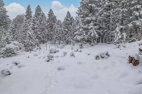 449 Forest Dr, Bailey, CO 80421 photo 45