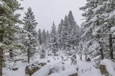 449 Forest Dr, Bailey, CO 80421 photo 42