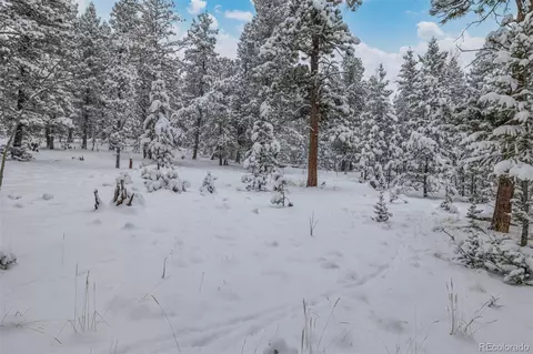 449 Forest Dr, Bailey, CO 80421 photo 35