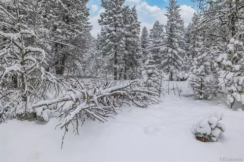 449 Forest Dr, Bailey, CO 80421 photo 29