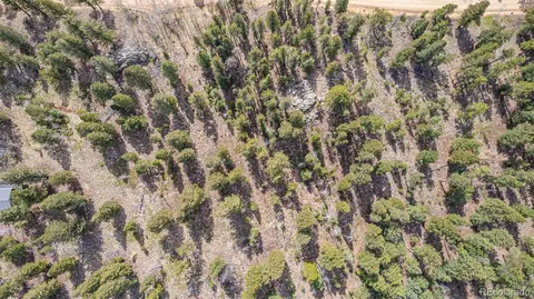 449 Forest Dr, Bailey, CO 80421 photo 17