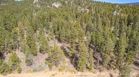 449 Forest Dr, Bailey, CO 80421 photo 2