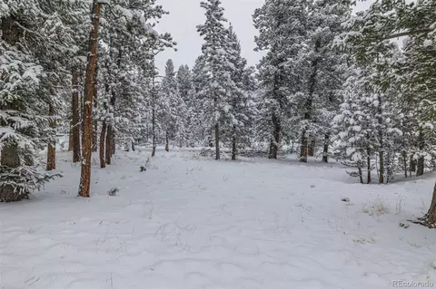 449 Forest Dr, Bailey, CO 80421 photo 32