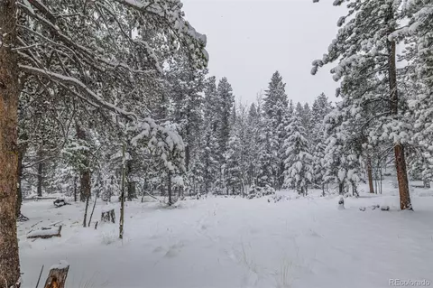449 Forest Dr, Bailey, CO 80421 photo 44