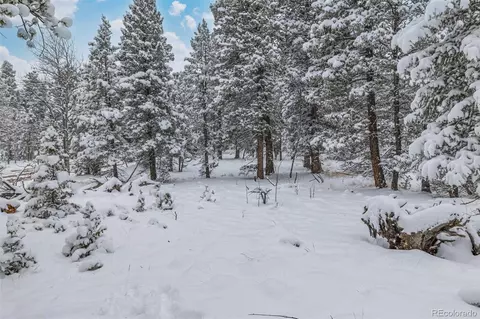 449 Forest Dr, Bailey, CO 80421 photo 47