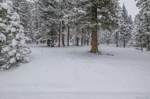 449 Forest Dr, Bailey, CO 80421 photo 28