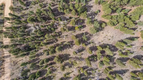 449 Forest Dr, Bailey, CO 80421 photo 18