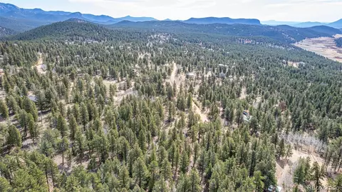 449 Forest Dr, Bailey, CO 80421 photo 14