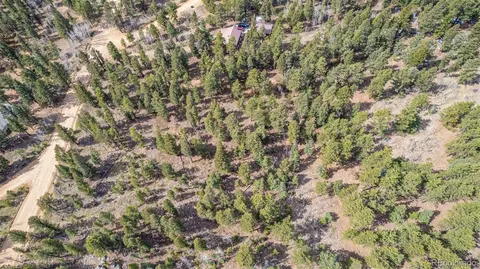 449 Forest Dr, Bailey, CO 80421 photo 19