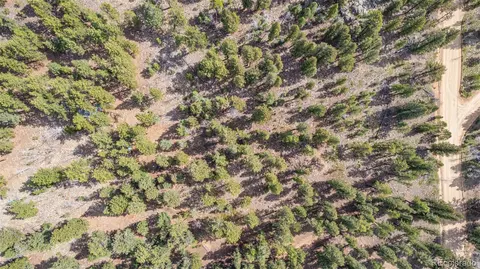 449 Forest Dr, Bailey, CO 80421 photo 16