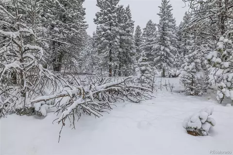 449 Forest Dr, Bailey, CO 80421 photo 30