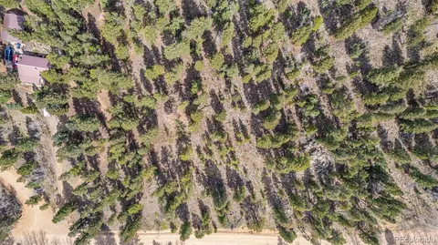 449 Forest Dr, Bailey, CO 80421 photo 15