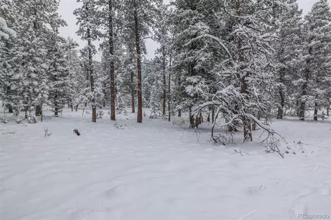 449 Forest Dr, Bailey, CO 80421 photo 34