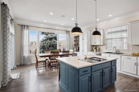 24537 Easter Pl, Aurora, CO 80016 photo 10