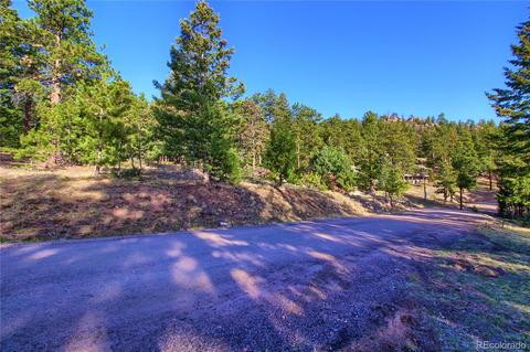 7753 Elk Path Way, Morrison, CO 80465 photo 8