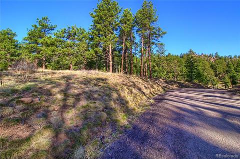 7753 Elk Path Way, Morrison, CO 80465 photo 9