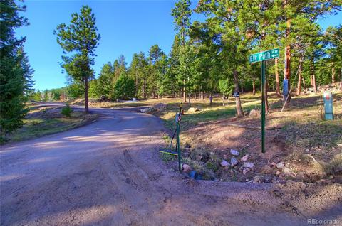 7753 Elk Path Way, Morrison, CO 80465 photo 3