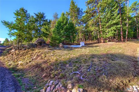 7753 Elk Path Way, Morrison, CO 80465 photo 5